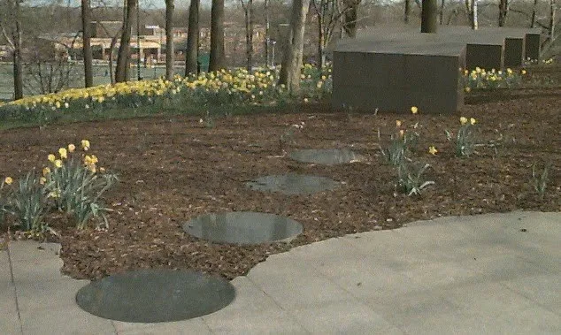 Daffodils in bloom among wood chips beside dark stone markers and rounded stone discs set into a paved path, with bare trees behind.